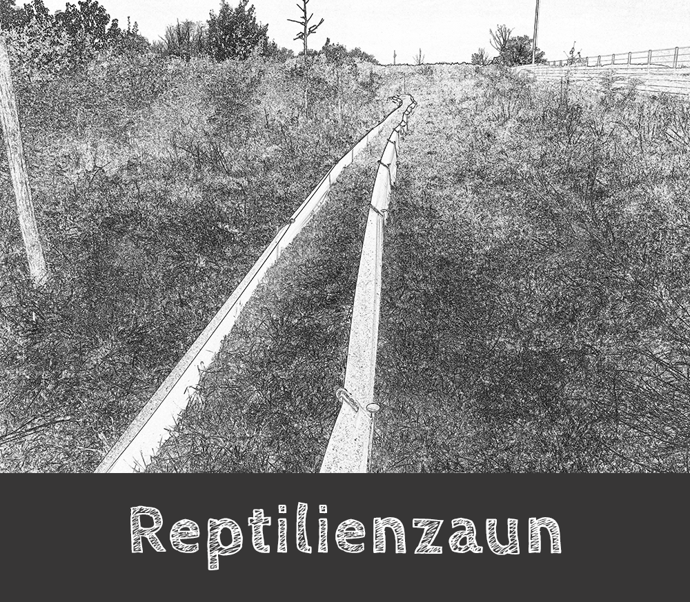 handgezeichnet reptilienschutzzaun
