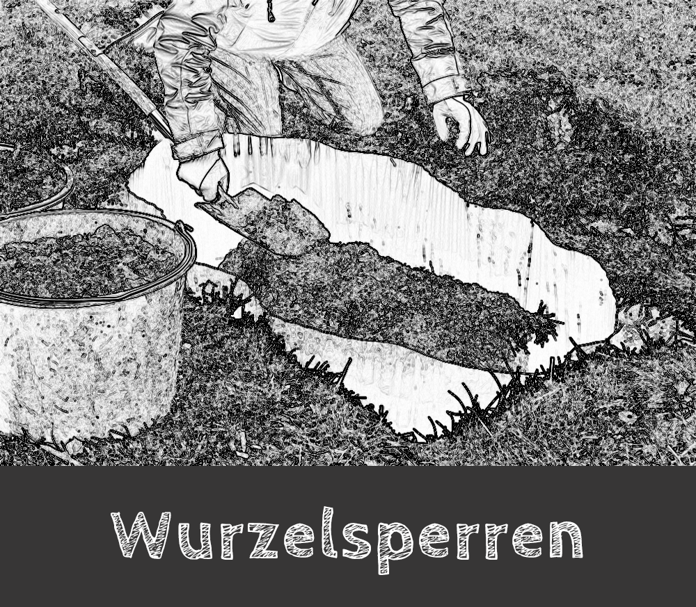 handgezeichnet Wurzelsperre